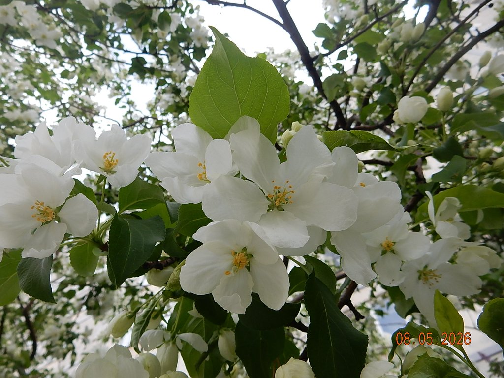 DSCN3287.JPG
