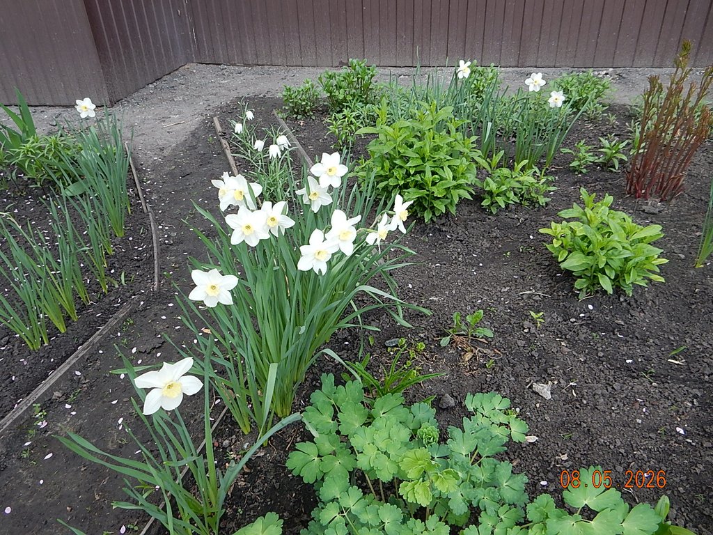 DSCN3288.JPG
