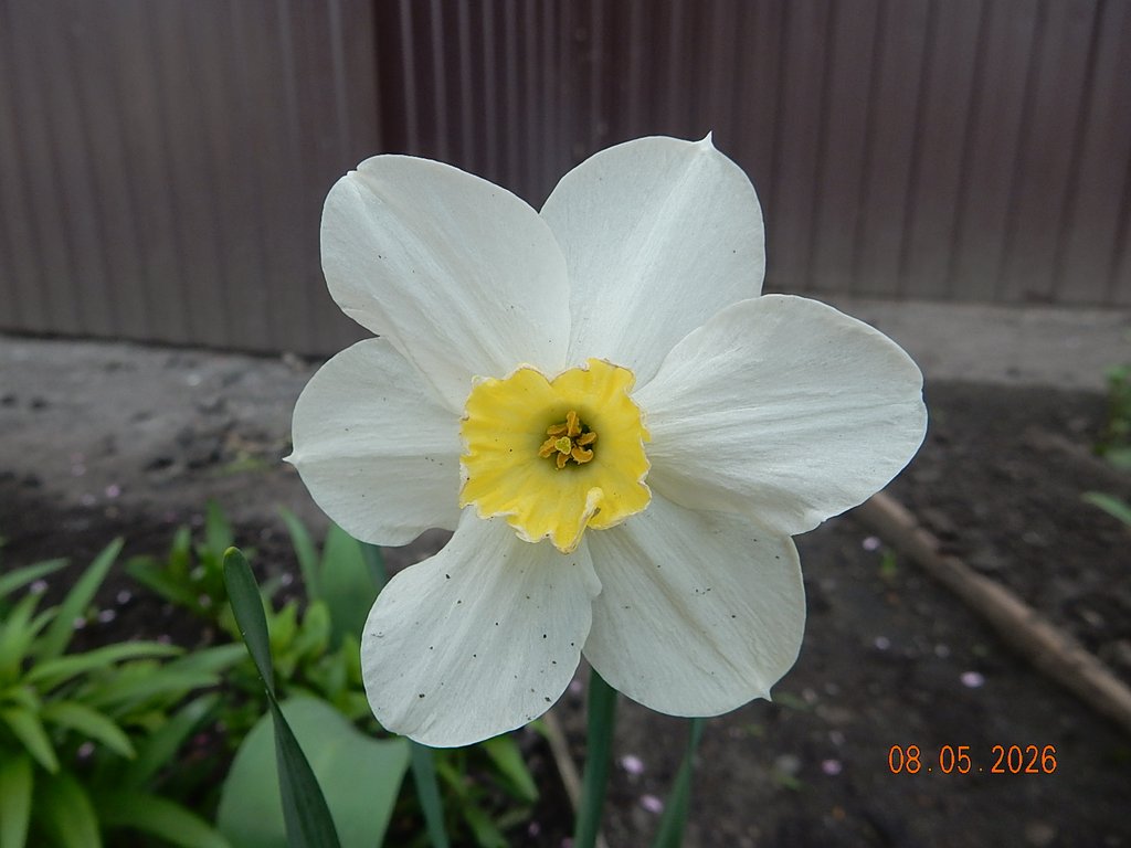 DSCN3289.JPG