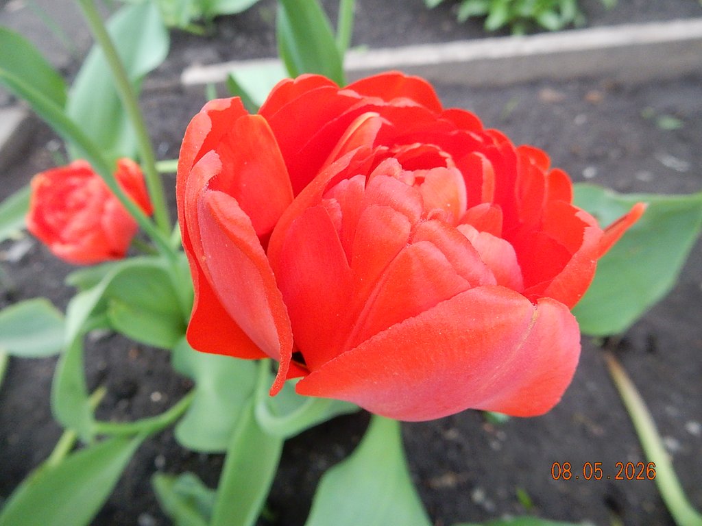DSCN3290.JPG