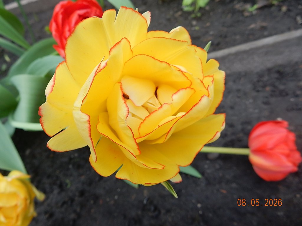 DSCN3291.JPG