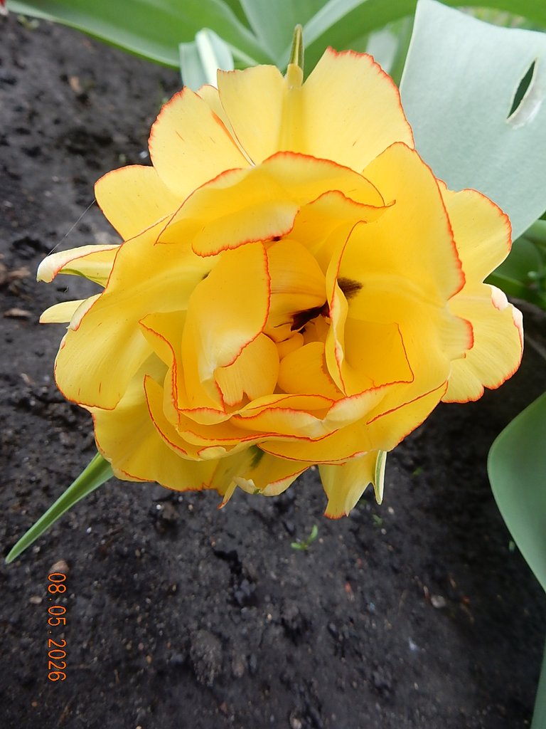 DSCN3292.JPG