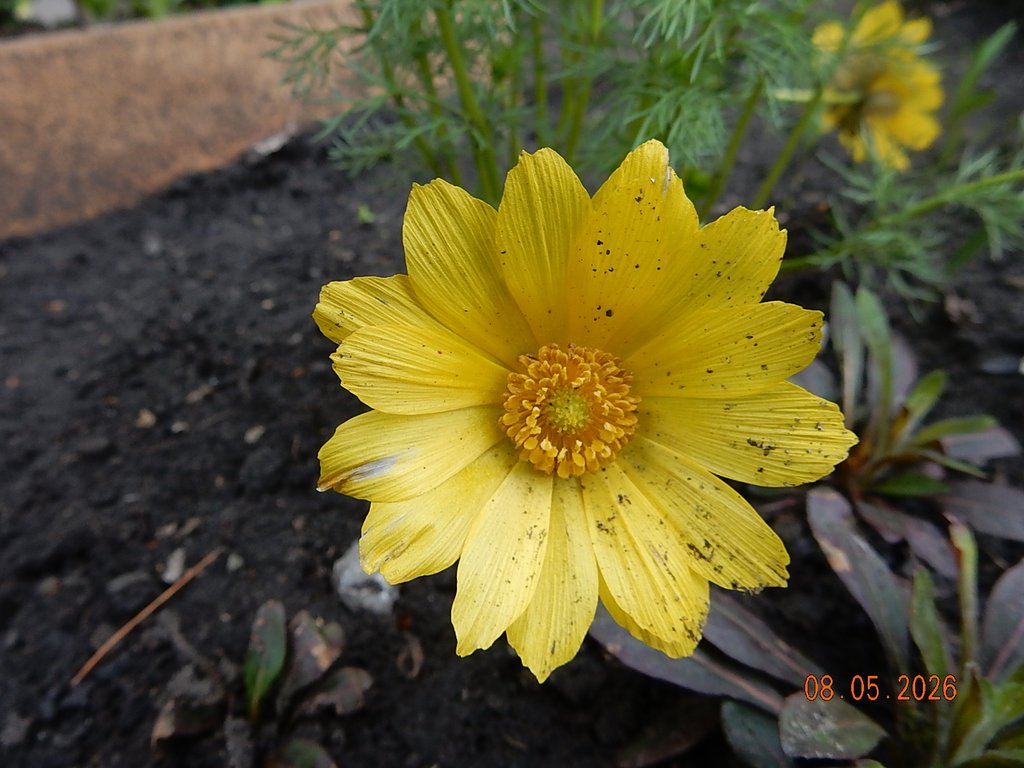 DSCN3293.JPG