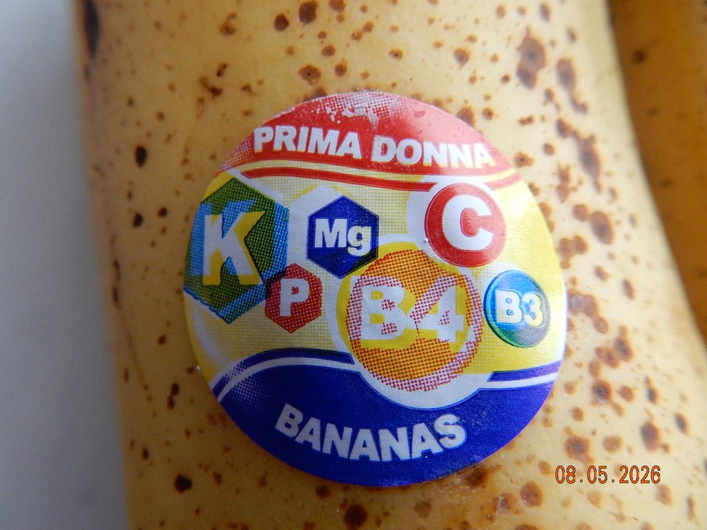 DSCN3295.JPG