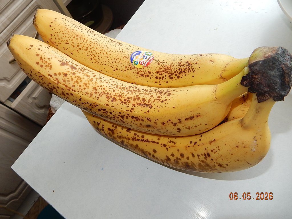 DSCN3297.JPG