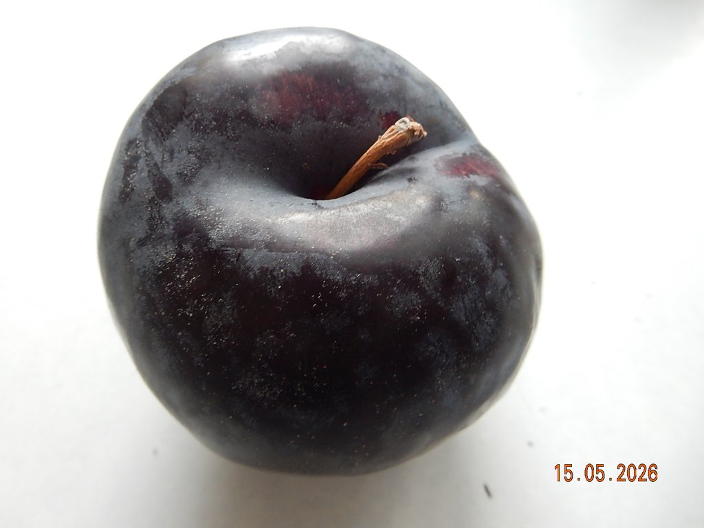 DSCN3309.JPG