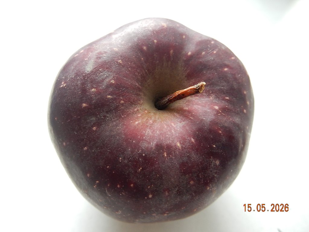 DSCN3310.JPG