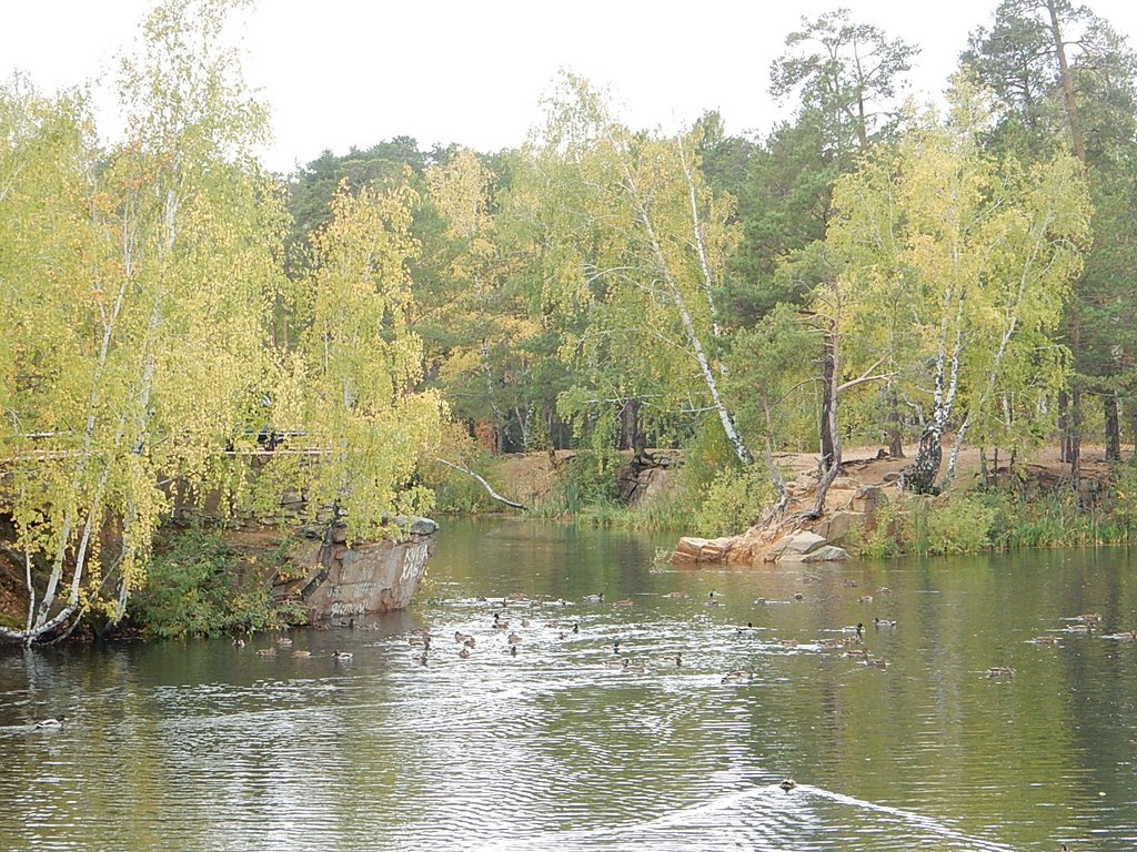 DSCN7193.JPG
