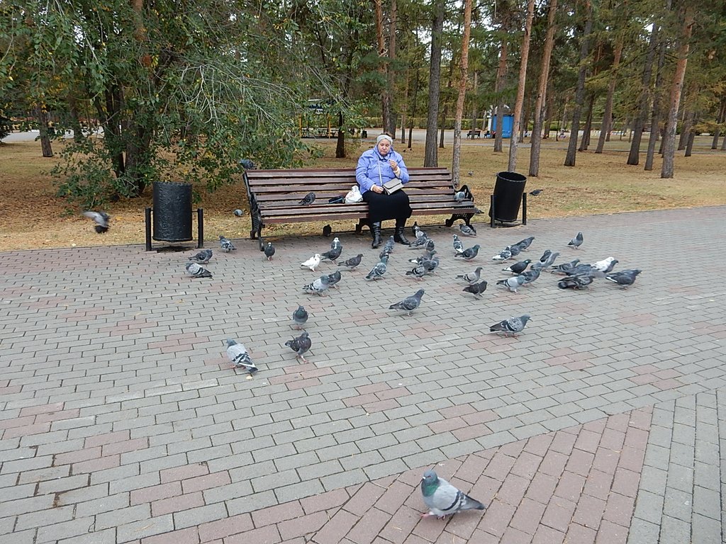 DSCN7198.JPG
