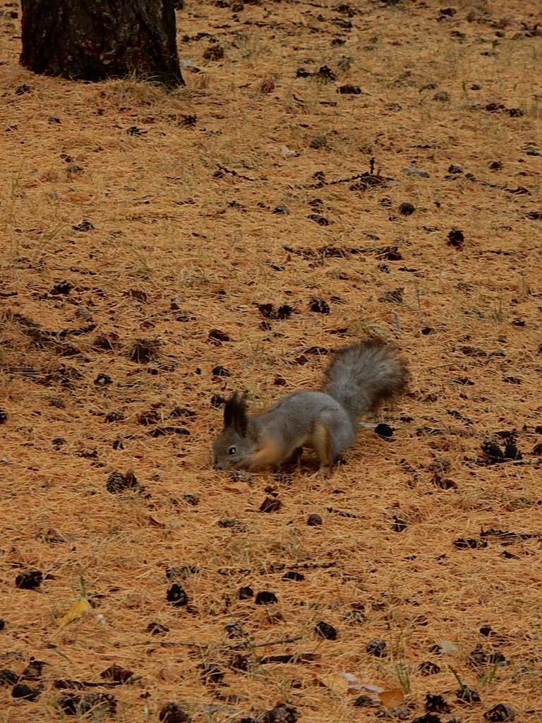 DSCN7204.JPG