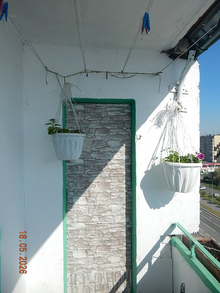 DSCN3316.JPG