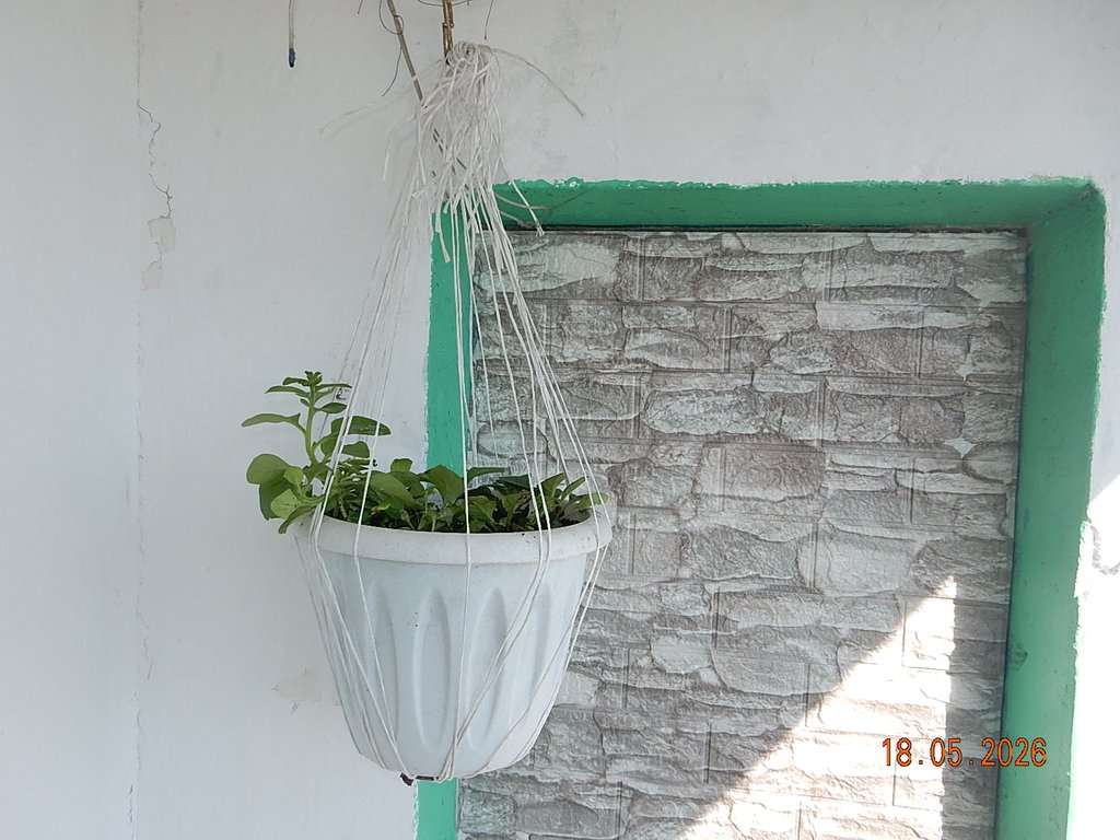 DSCN3317.JPG