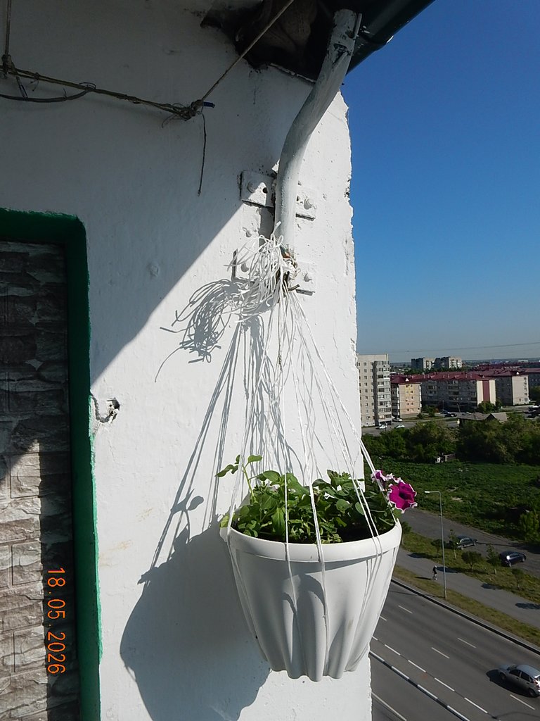 DSCN3318.JPG