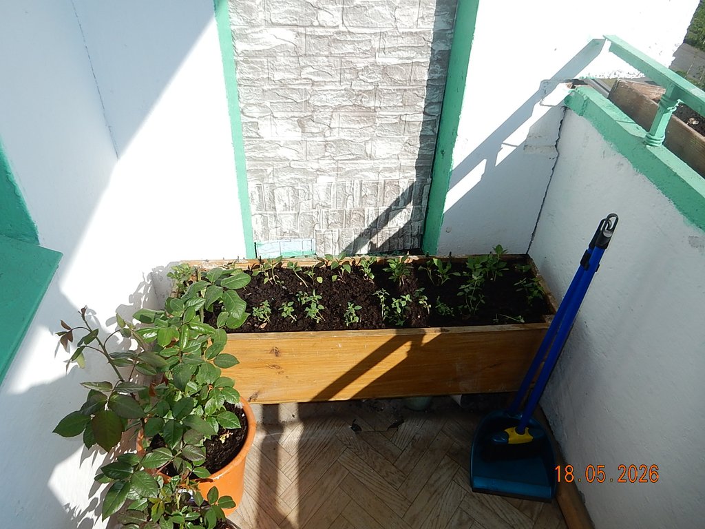 DSCN3319.JPG