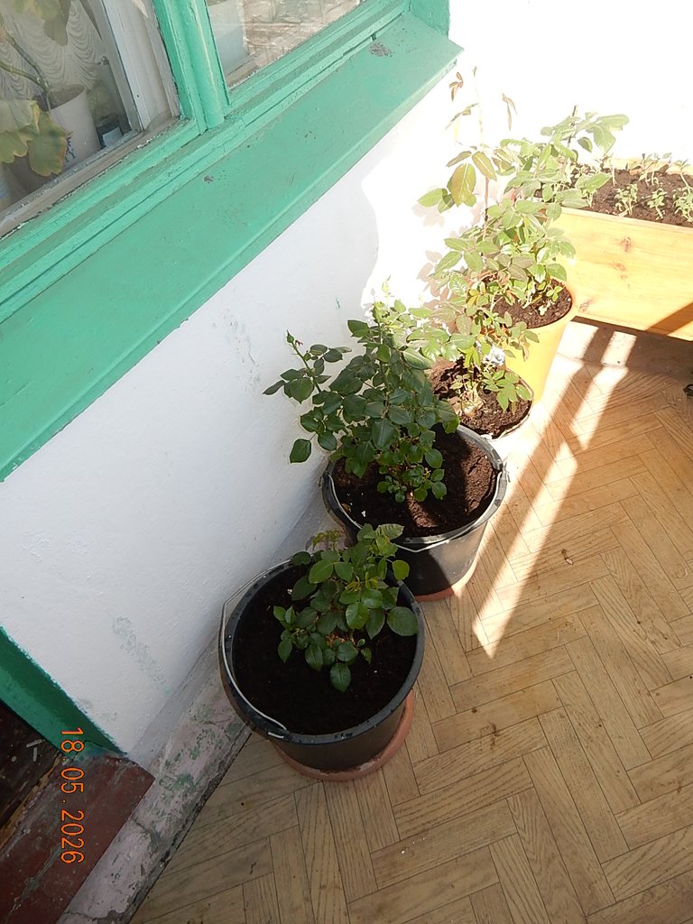 DSCN3320.JPG