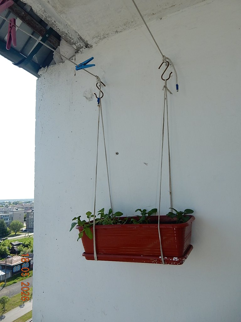 DSCN3321.JPG