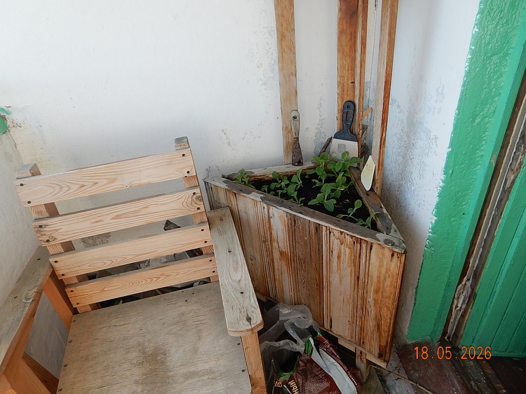 DSCN3322.JPG