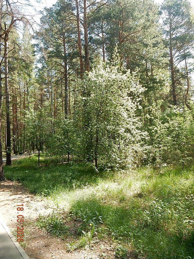 DSCN3327.JPG