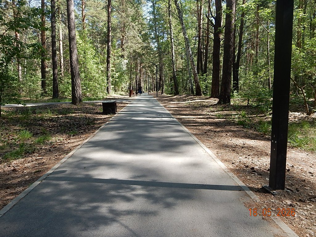 DSCN3331.JPG