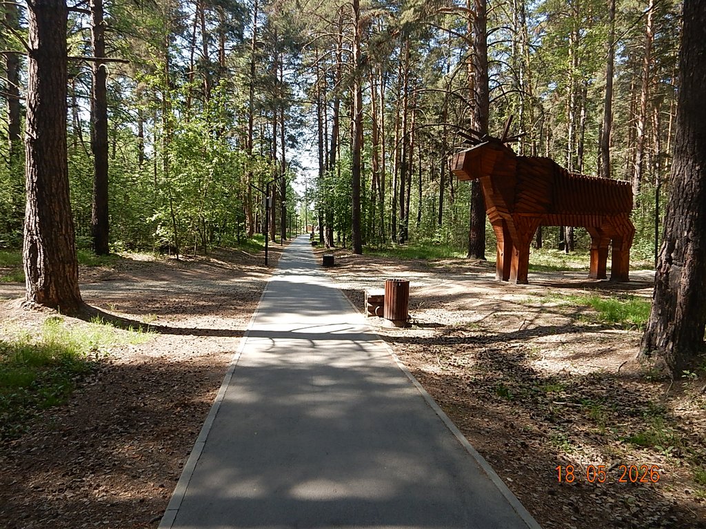 DSCN3332.JPG