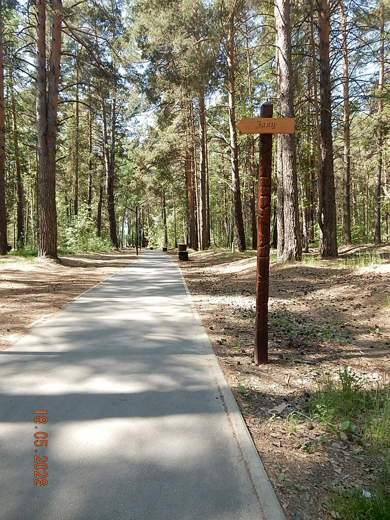 DSCN3334.JPG