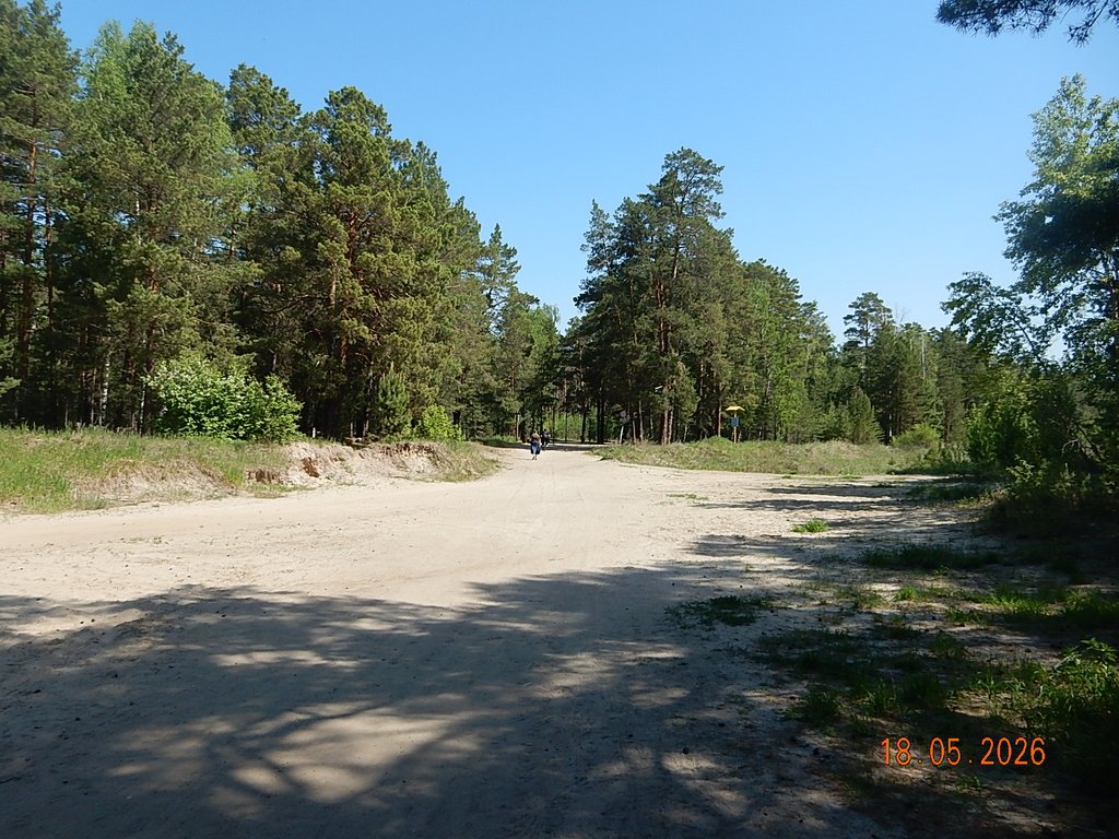DSCN3337.JPG