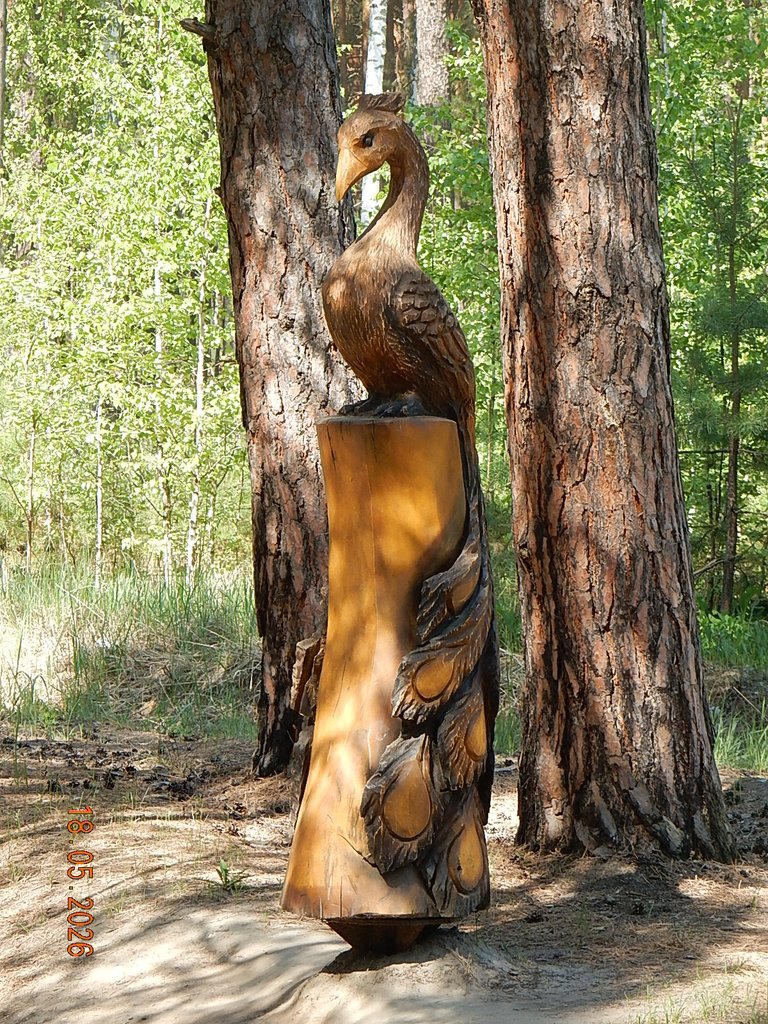 DSCN3339.JPG