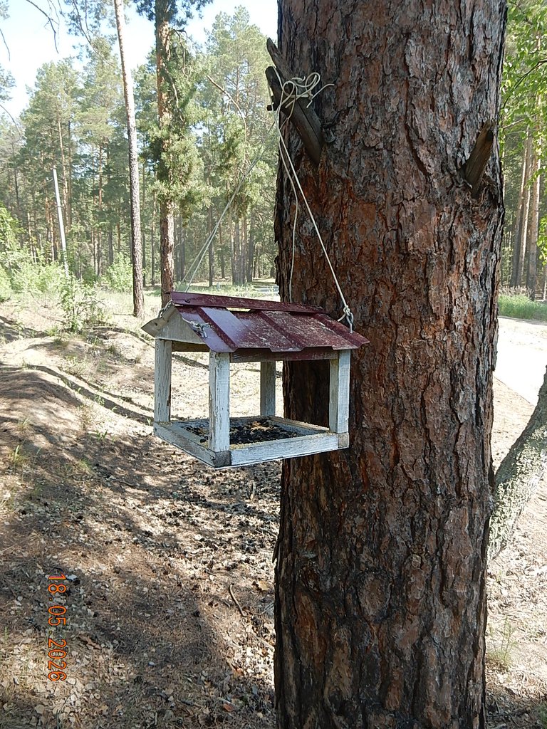 DSCN3340.JPG