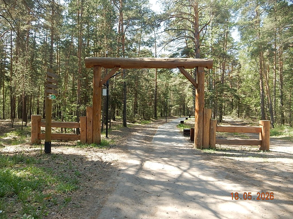 DSCN3343.JPG