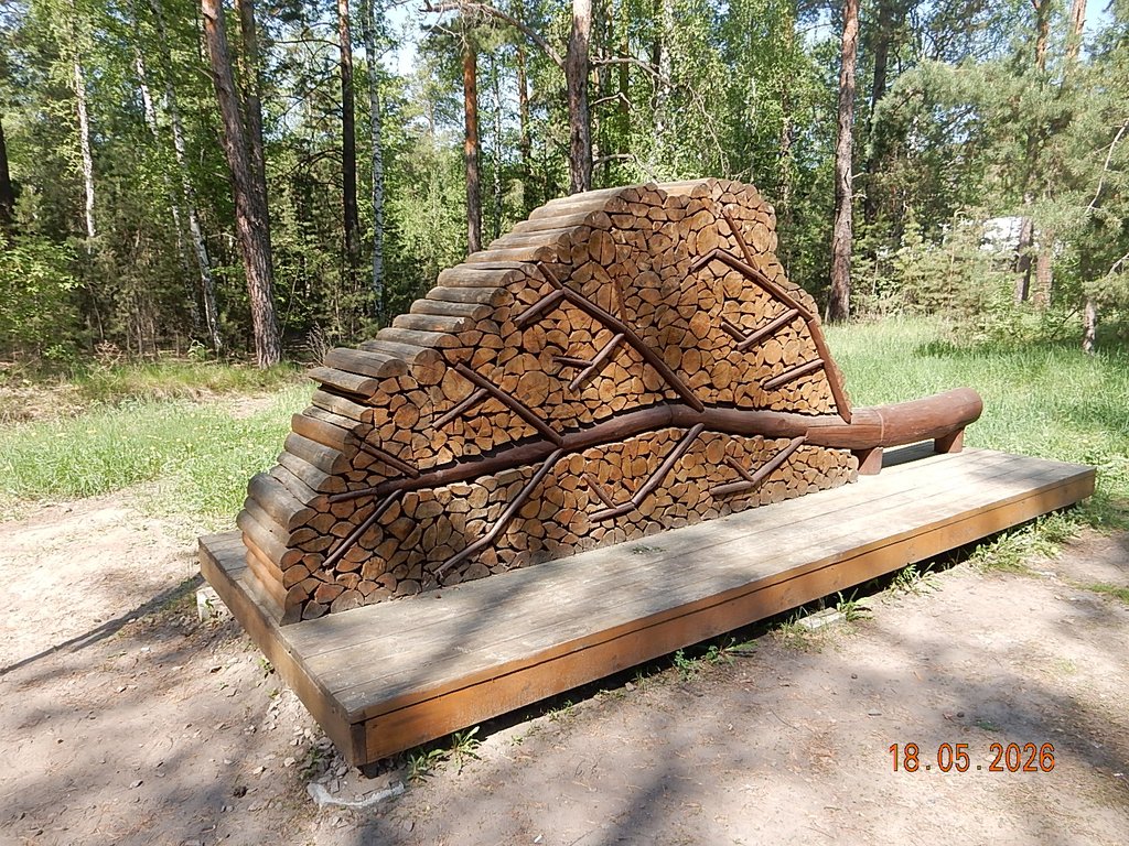 DSCN3344.JPG