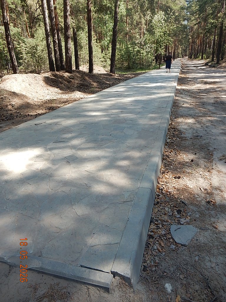 DSCN3350.JPG