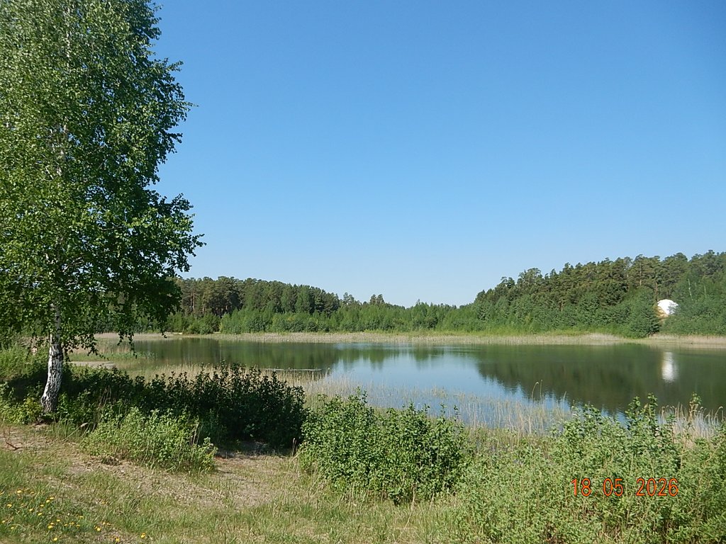 DSCN3353.JPG