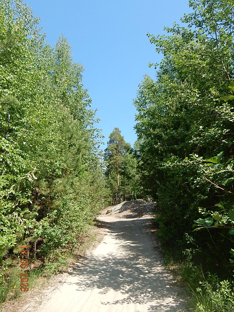 DSCN3359.JPG