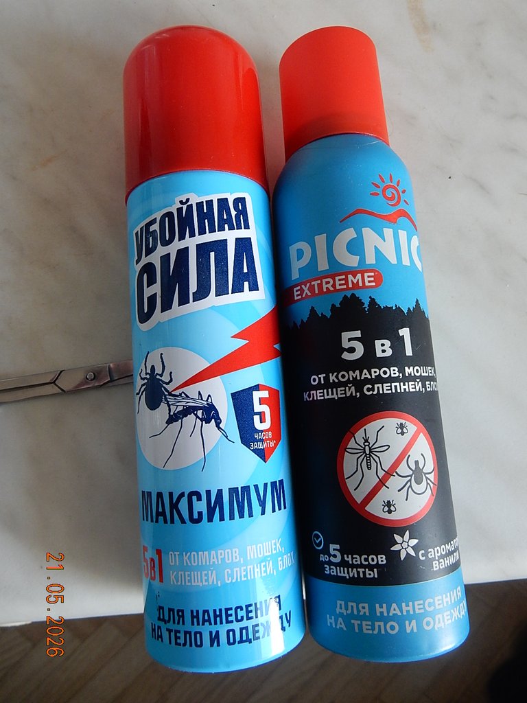 DSCN3381.JPG