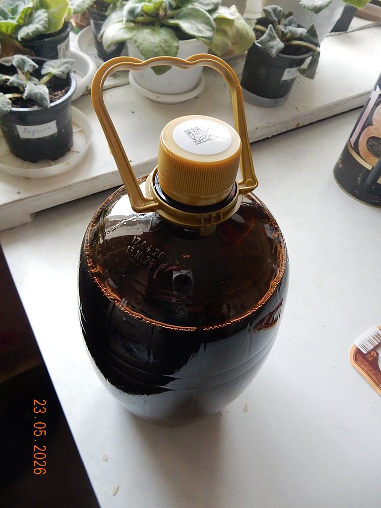 DSCN3391.JPG