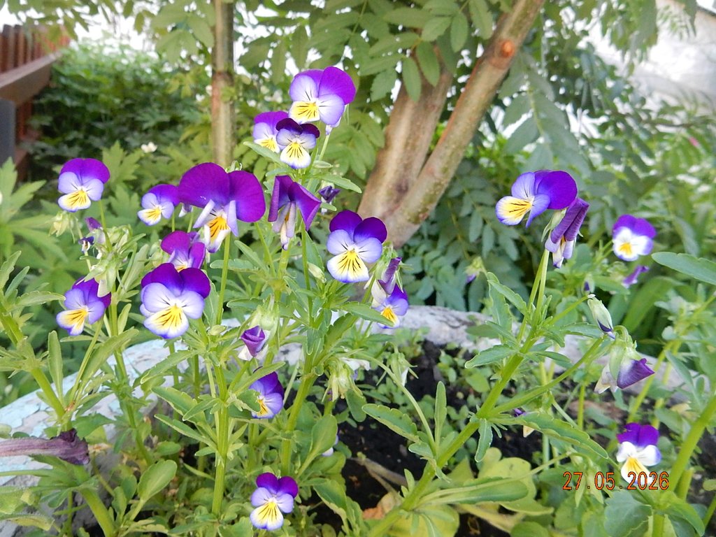 DSCN3395.JPG