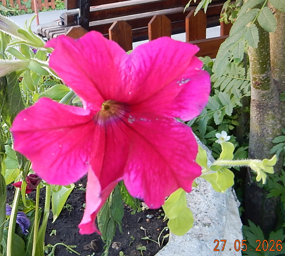 DSCN3396.JPG