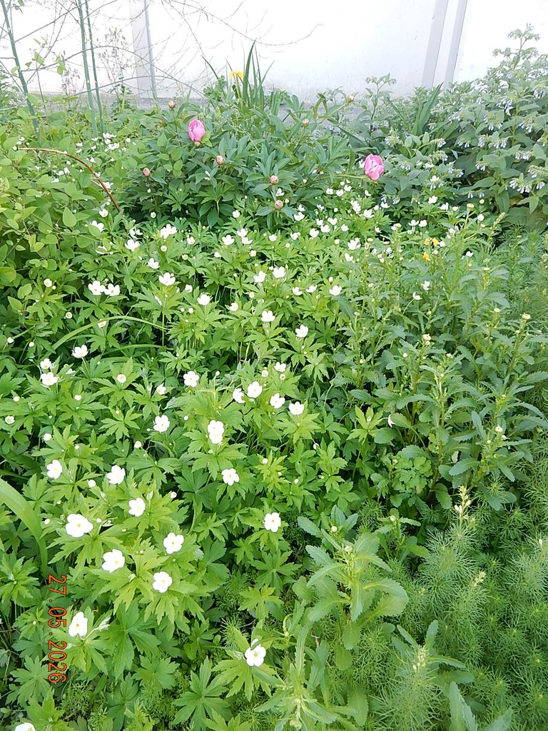 DSCN3398.JPG