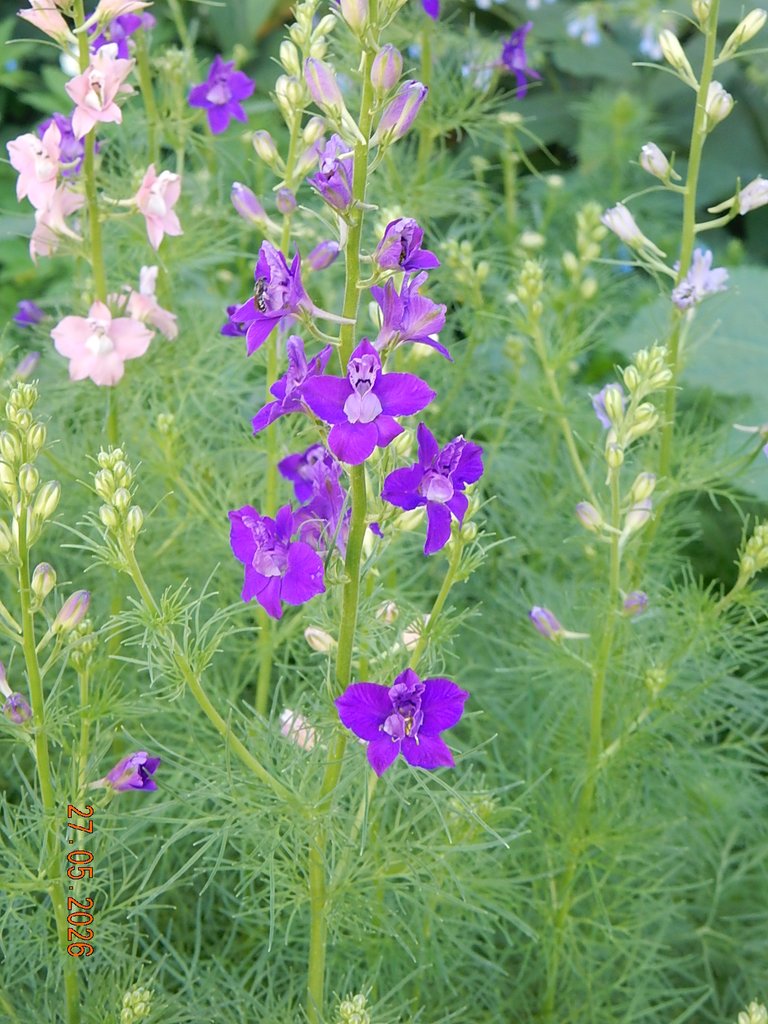 DSCN3399.JPG