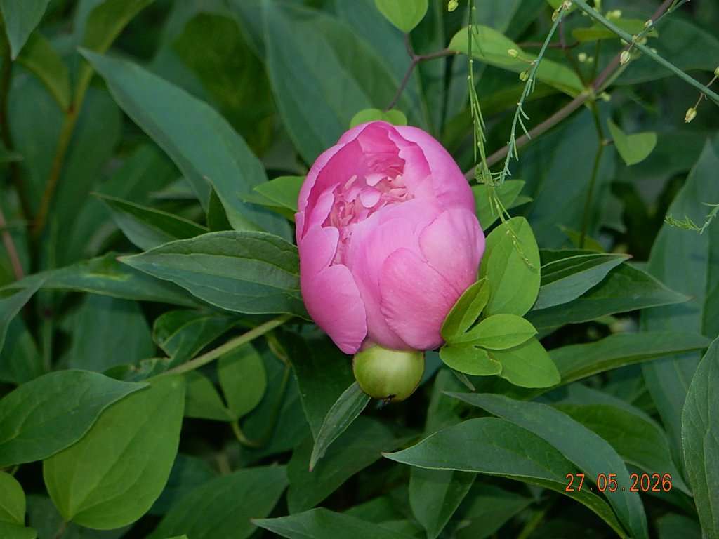 DSCN3400.JPG