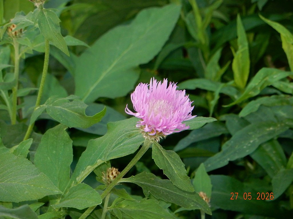 DSCN3403.JPG