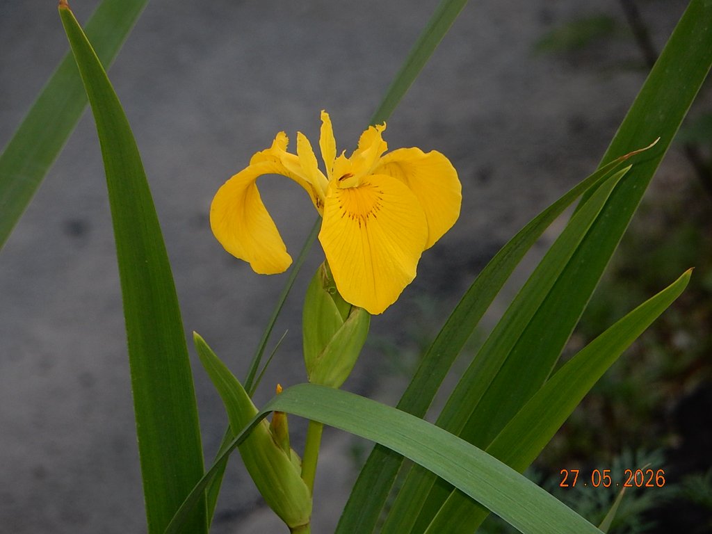 DSCN3404.JPG
