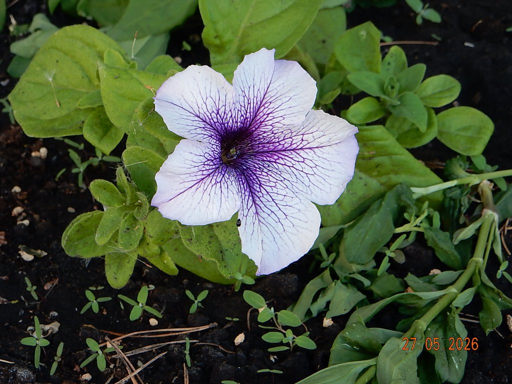 DSCN3405.JPG