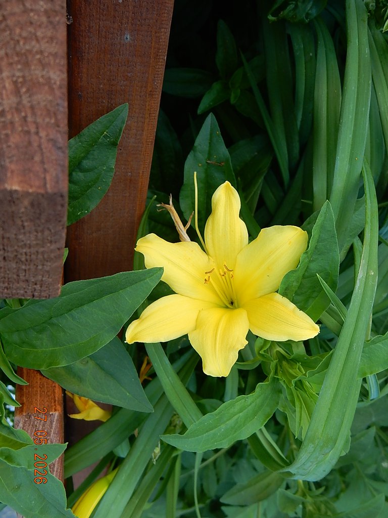 DSCN3406.JPG