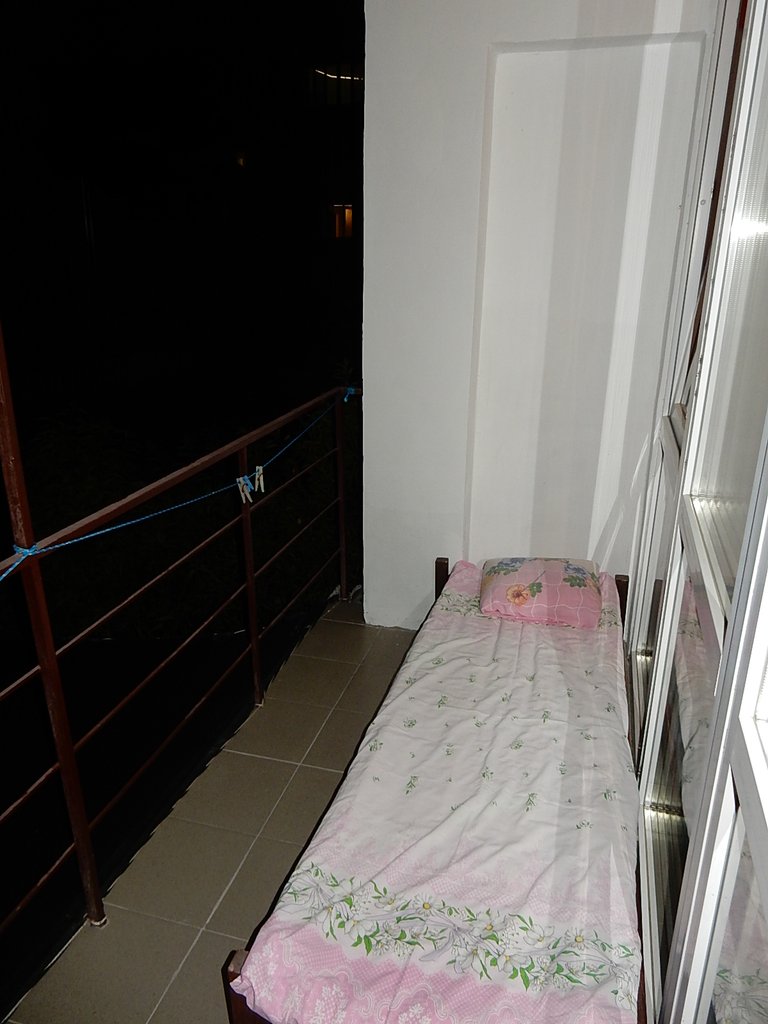 DSCN7394.JPG