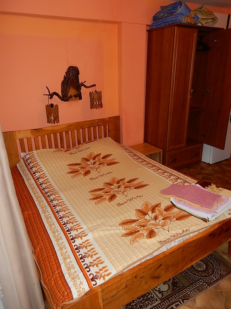 DSCN7396.JPG