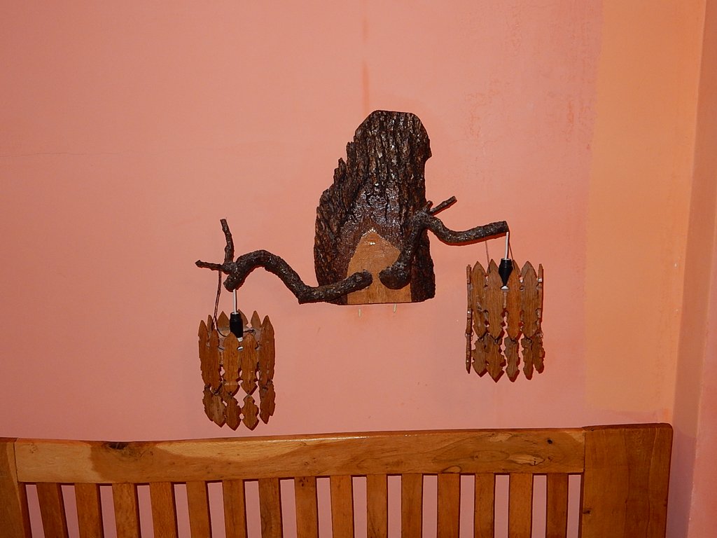 DSCN7411.JPG