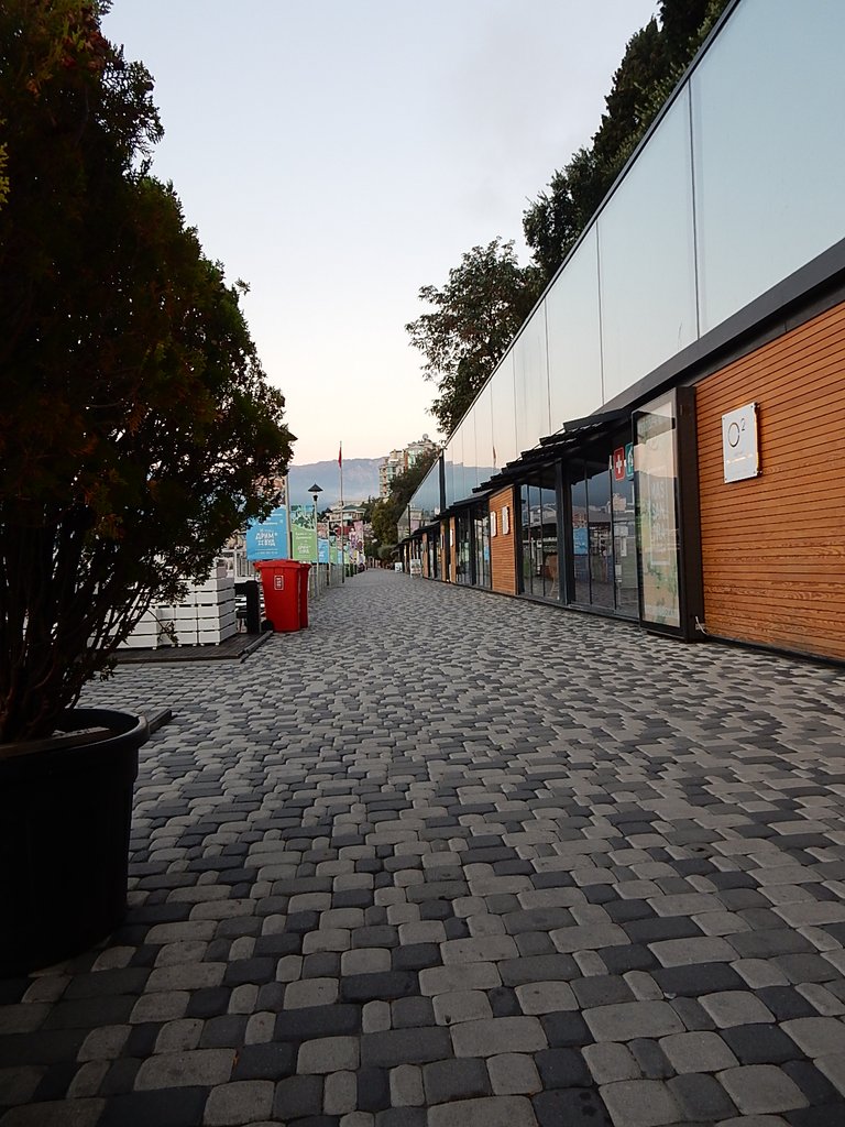 DSCN7415.JPG