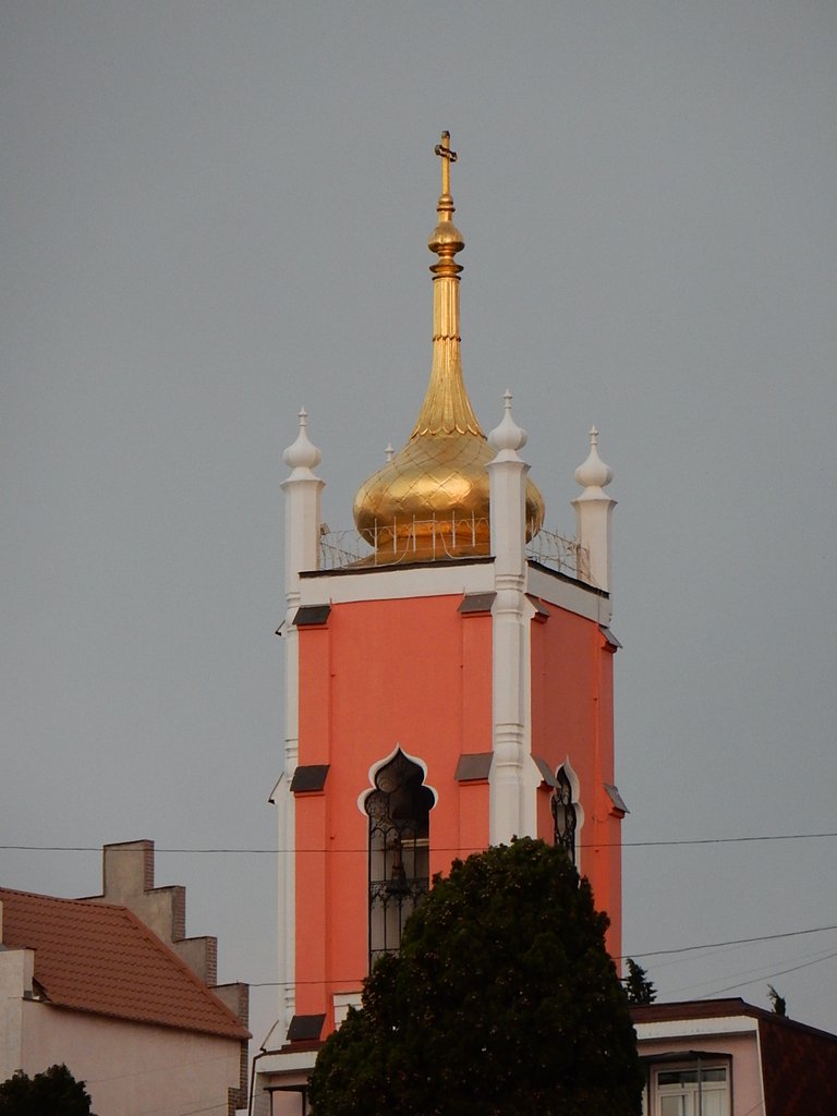 DSCN7426.JPG