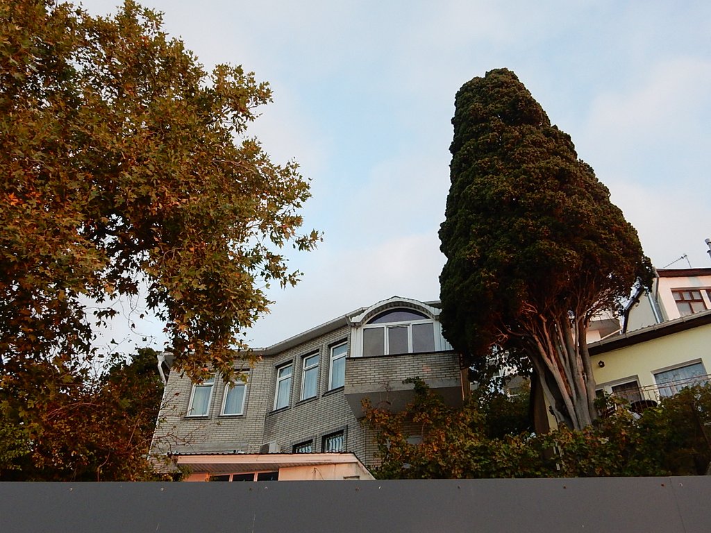 DSCN7429.JPG